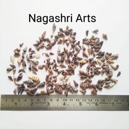 Brand Zero - Miniature Size Seashells Design 1 - Pack of 20 Gms