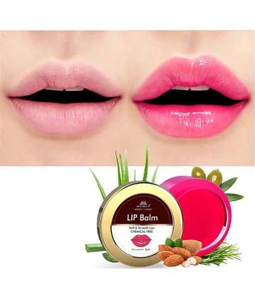 Intimify Lip Balm Lip Gloss Balm Pink Lip Balm Beetroot Lip Balm Lip Balm for Women Lip Care 8gm