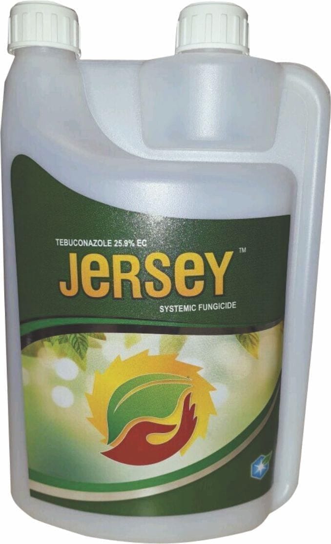 JERSEY