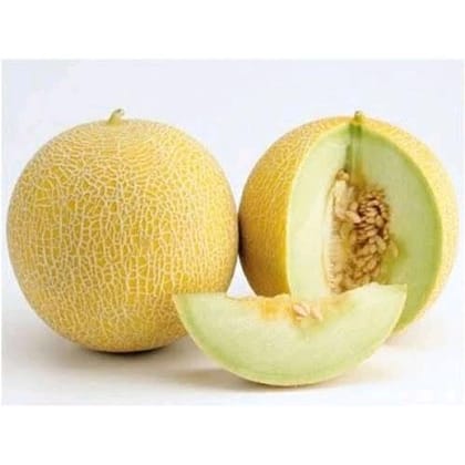 Muskmelon Boby 1 PIC