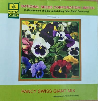NSC Pancy Swiss Giant Mix Flower Seed