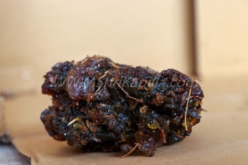Gugal 1 KG