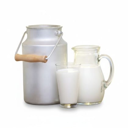 Fresh Dairy Milk - 400 gm - One container of milk