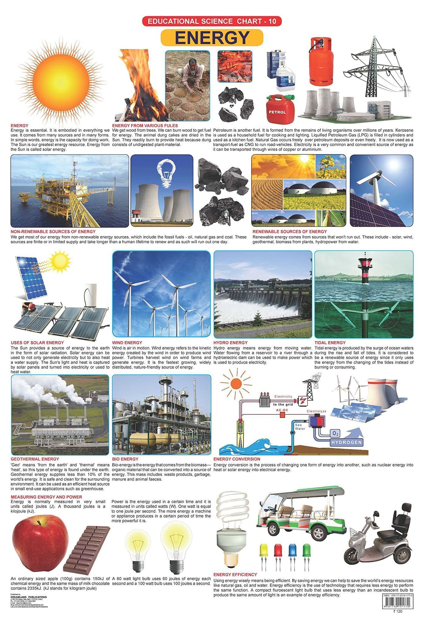 Energy Wall Chart (Science Chart) - Both Side Hard Laminated (Size 48 x 73 cm) [Poster] Dreamland Publications