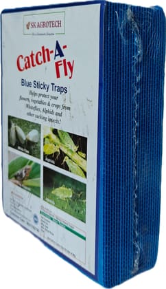Blue Insect Pheromone Trap - Pack of 25 Blue Sheets, 6x8 Inch Size Used Against succking pest Like Thrips, whiteflies. Blue Insect Pheromone Trap - Pack of 25 Blue Sheets, 6x8 Inch Size Used Against succking pest Like Thrips, whiteflies.