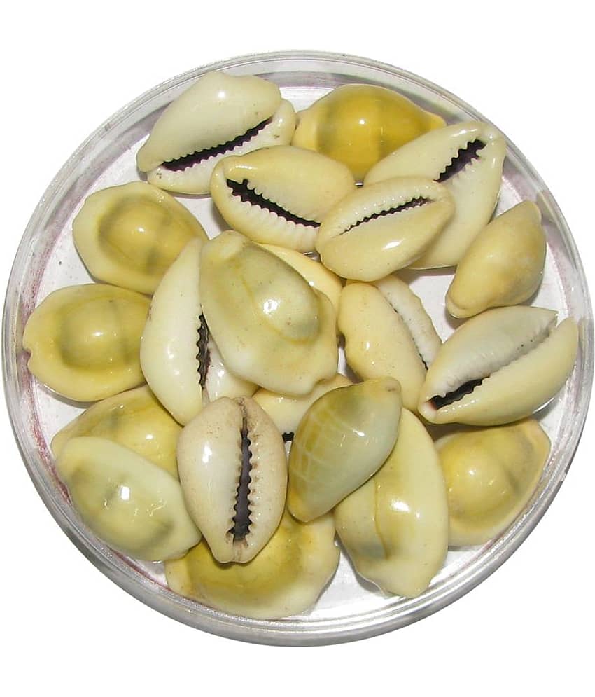 Bala Bakthi Pooja Shell Crystal