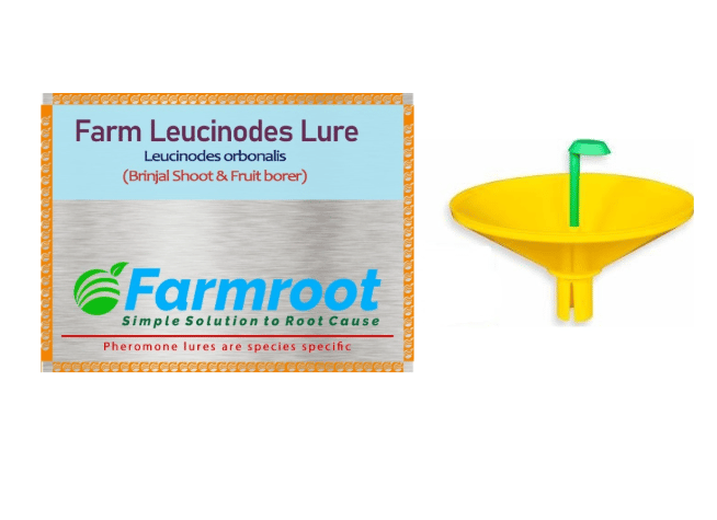 FARM LEUCINODES LURE WITH WATER TRAP (Pack of 10)