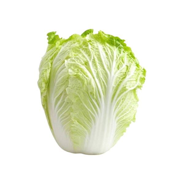 Agrify Fresh Cabbage - Chinese 1 Pcs
