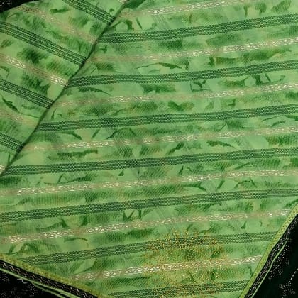 Fancy light green saree with