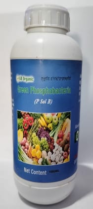 Green P sol B (Phosphobacteria) - 1 L - 1 bottle