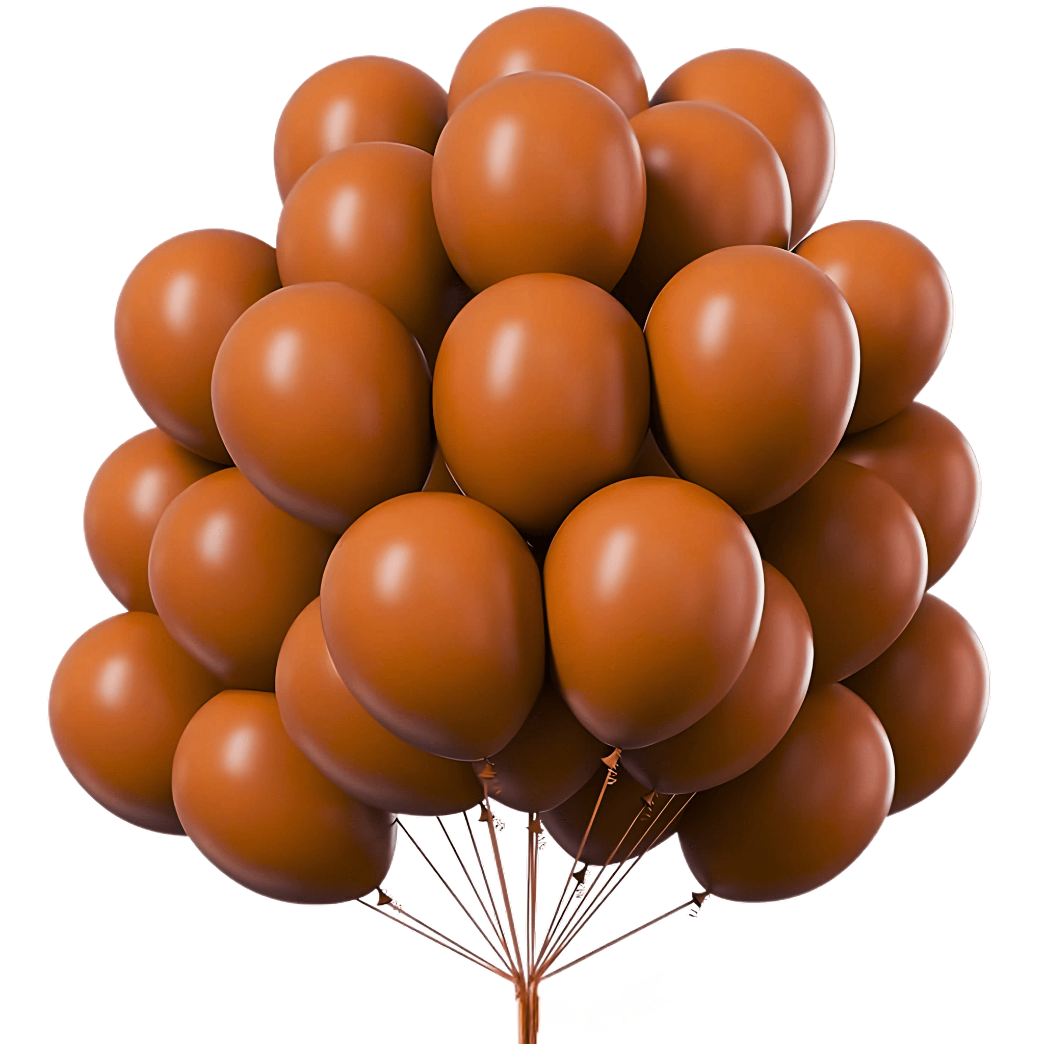 Chocolate Brown Premium Latex Balloons 10" - 50PC