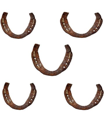 Shri Astha Vinayak Original Kale Ghod Ki Naal/ Black Horse Shoe for Good Luck And Restrict Bad/Evil Energy(SET OF 5)
