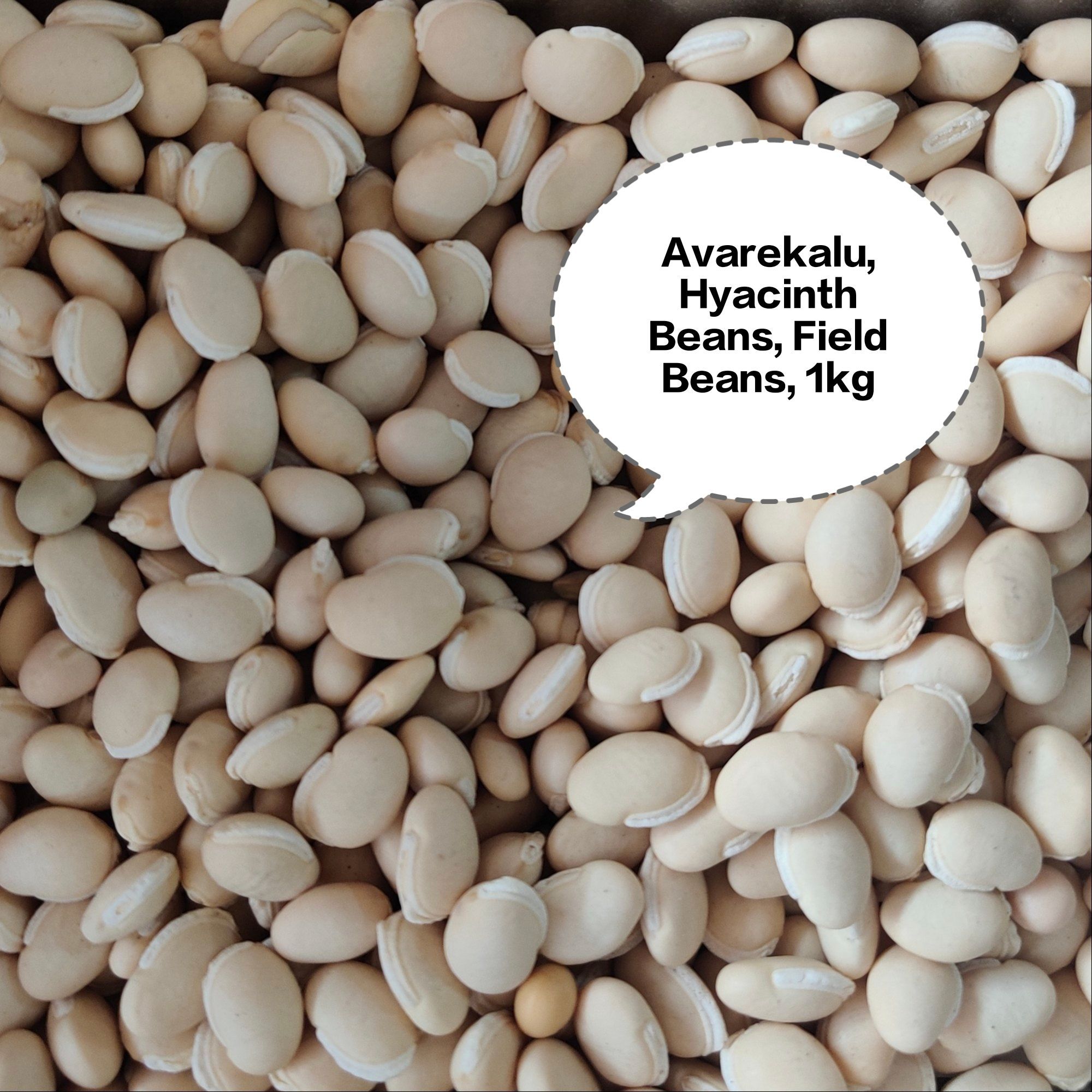Avarekalu, Hyacinth Beans, Field Beans, Surti Papdi Beans, Sem Phali 1kg