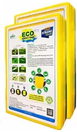 Farmroot Yellow Sticky Trap A4 Size Pack of 2 (20 Pieces)