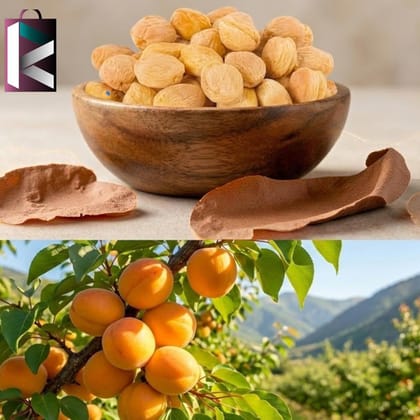 JARDALU APRICOT LOOSE (PER KG) JARDALU APRICOT LOOSE (PER KG)