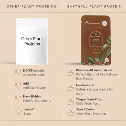 Earthful Honest Plant Protein-Coffee Mocha.