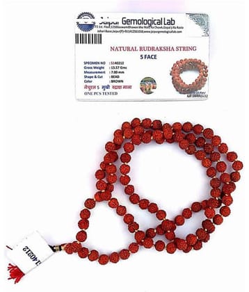 5 Mukhi Rudraksha Mala Original 108 beads with Certificate - Japa and Daily wear