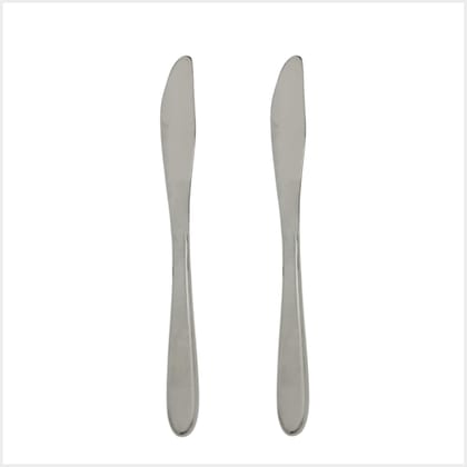 KARTHI7OCT STORE Butter Knife (2 Pieces) - Stainless Steel - 19 cm Long - Dinner Knife - Jam Spreader - Safe Cutting - Portable - Cheese Cutter - Durable & Stylish - Travel-Friendly