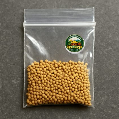 Baini Provision Store's mustard seeds