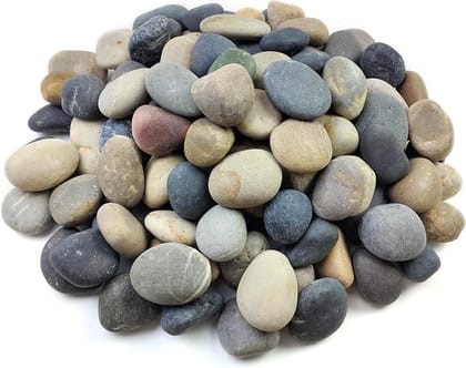 Vasio Stone Natural Multicolour River Rocks – Large Decorative Pebbles (Pack of 10) for Aquariums, Fish Tanks, Vase Fillers, Plant Pots, Terrariums, Painting, DIY Crafts, Landscaping & Home Décor