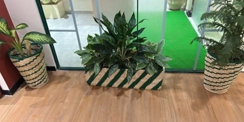 GreenWeave Tiger Grass Planter Set (3 pcs)