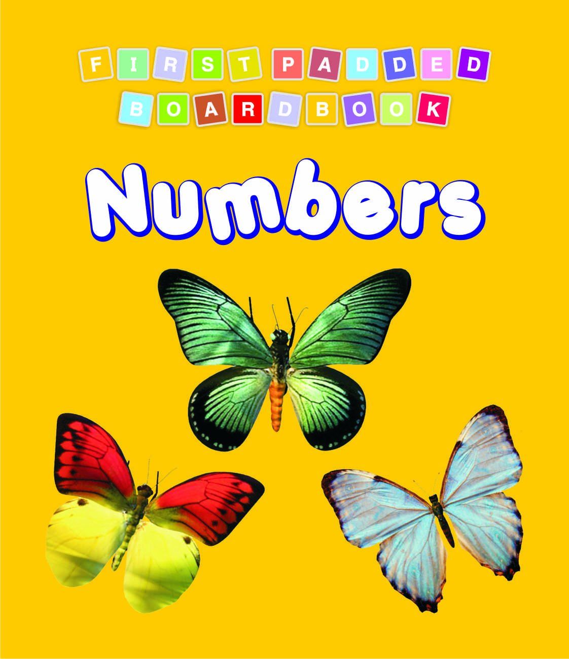 First Padded Bb - Numbers [Board book] Dreamland Publications