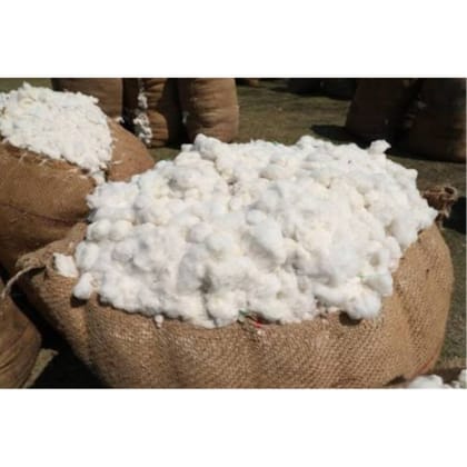Raw Cotton Fiber - 10 kg - One jute bag of raw cotton