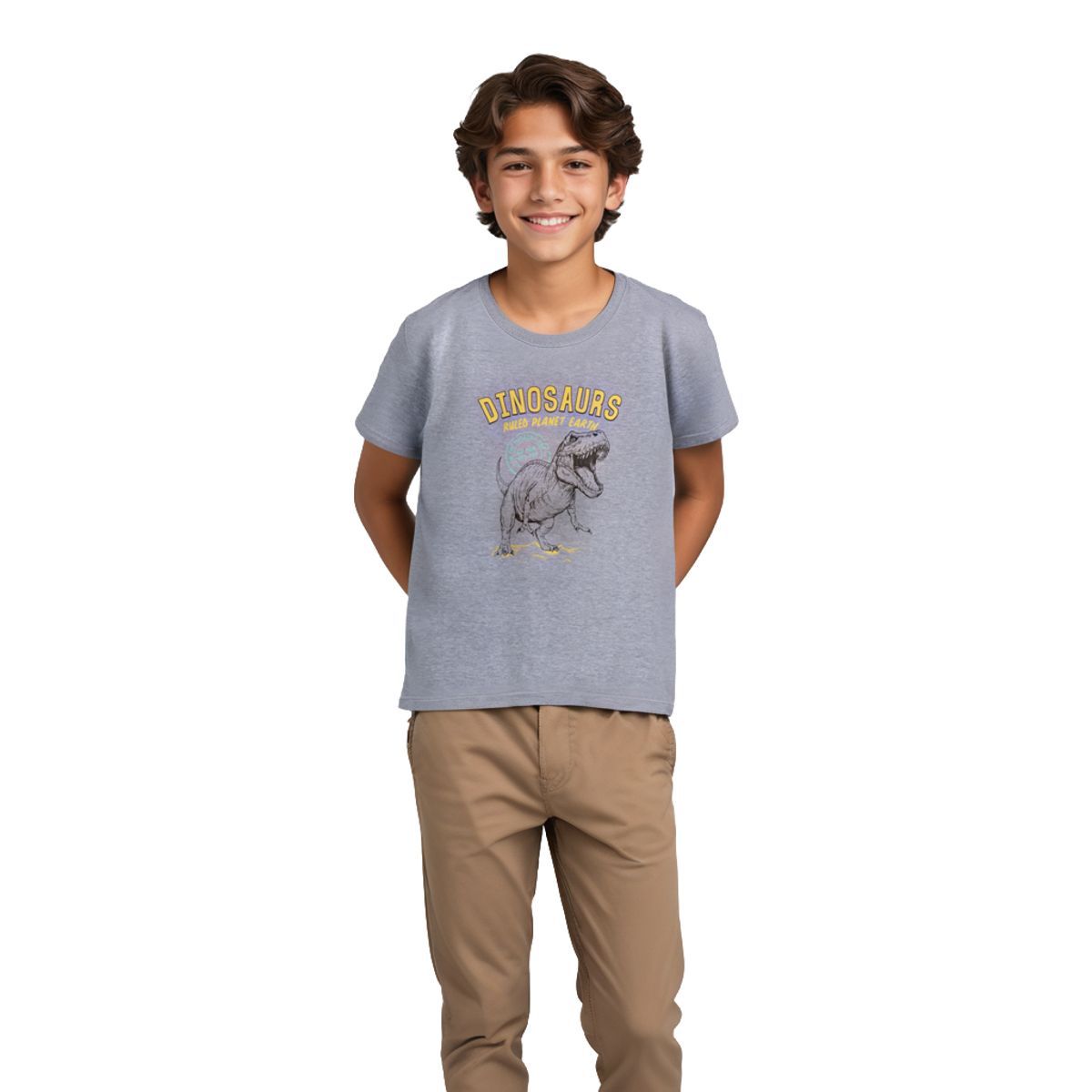 Boys T shirt Cotton Grey Heather Melange Dinosaurs