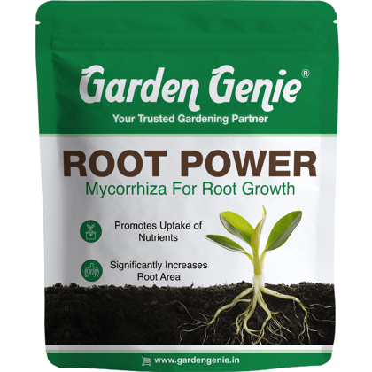 Garden Genie Root Power VAM Mycorrhiza Biofertilizer 800g - Root Stimulant Growth Booster and Development Fertilizer for Plants, Granules Garden Genie Root Power VAM Mycorrhiza Biofertilizer 800g - Root Stimulant Growth Booster and Development Fertilizer for Plants, Granules
