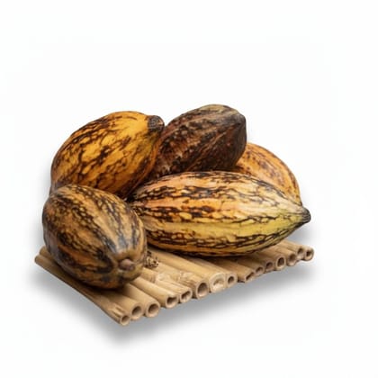 Fresh Raw Cocoa Pods - 1 kg - One kilogram pack of cocoa pods
