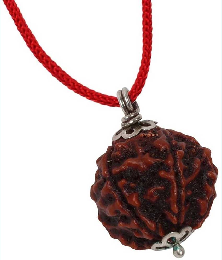 Astrodidi 5 Mukhi Rudraksha Pendant With Lab Certificate