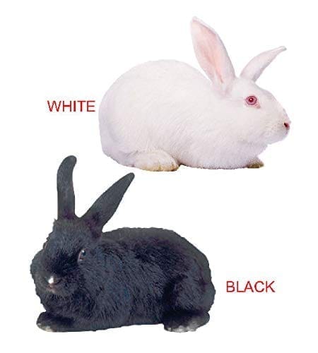 ... ...
