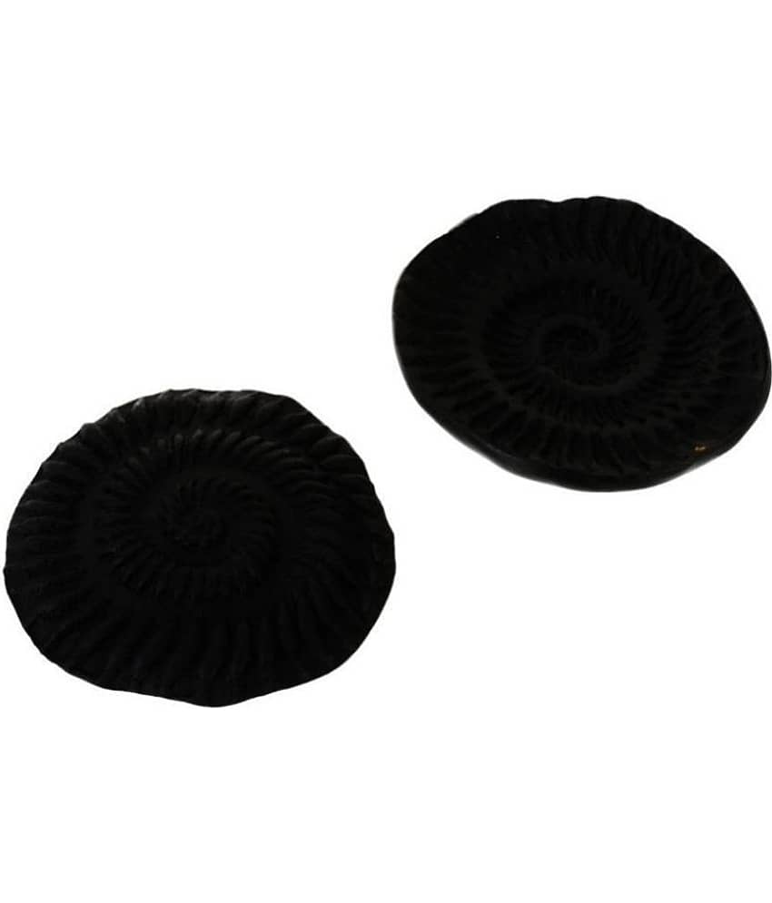 Kesar Zems - Stone Shaligram (Pack of 1)