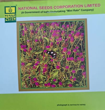 NSC Gomphrena mix flower seed- 1 gram