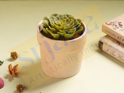 Srjana Dual Tone Ceramic Planter 1pc 
