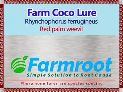FARM RED PALM WEEVIL LURE  (PACK OF 10)