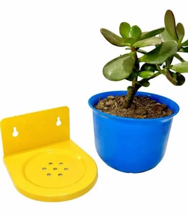 Wall Mounted Plant Holder with Free Pot Included | Plastic Hanging Planter Shelf for Indoor Outdoor Garden & Balcony (Yellow Blue)