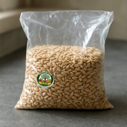 Geeta Mini Mart's premium barley grains