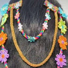 ... ...