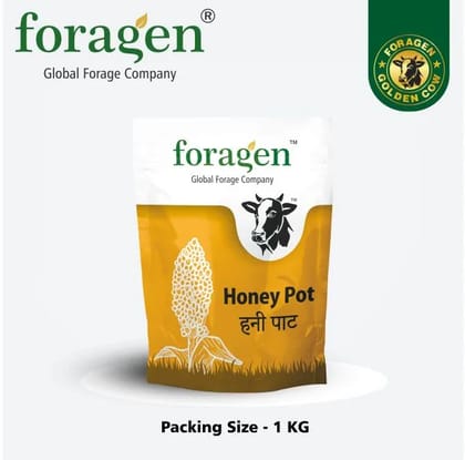 HONEY POT