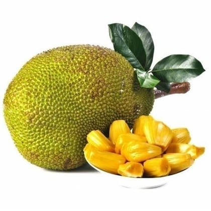 Jackfruit - Fanas Gare - Fresh  500gm