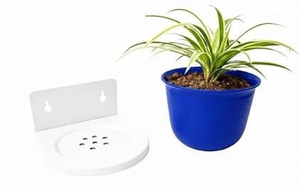 Wall Mounted Plant Holder with Free Pot Included | Plastic Hanging Planter Shelf for Indoor Outdoor Garden & Balcony (White Blue)