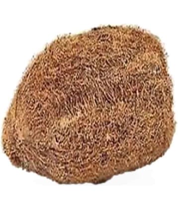 Astro Wood Laghu Nariyal