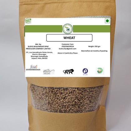 WHEAT - 250 gm - One packet of wheat