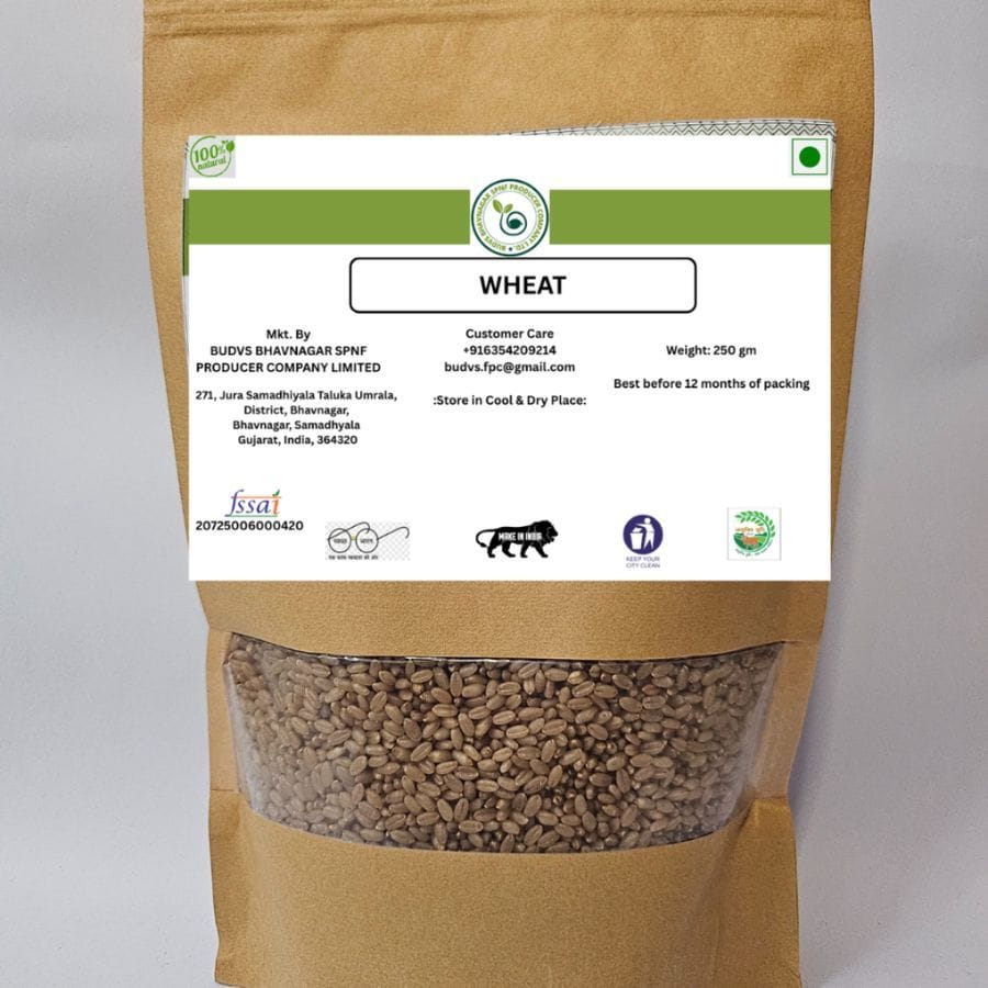 WHEAT - 250 gm - One packet of wheat
