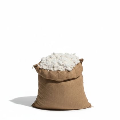 Raw Cotton in Jute Sack - 10 kg - One jute sack containing 10kg of raw cotton