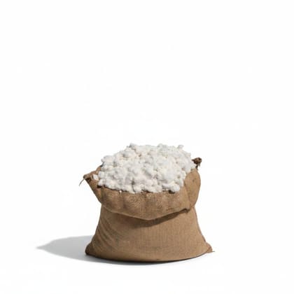 Raw Cotton Fiber in Jute Sack - 10 kg - One jute sack