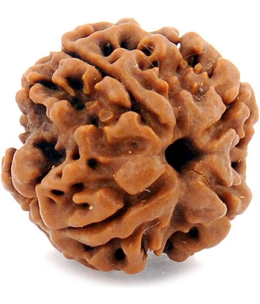 Certified Natural Real 4 Face 4 Mukhi Rudraksha Bead Nepali Loose Chakra Healing Daily Use