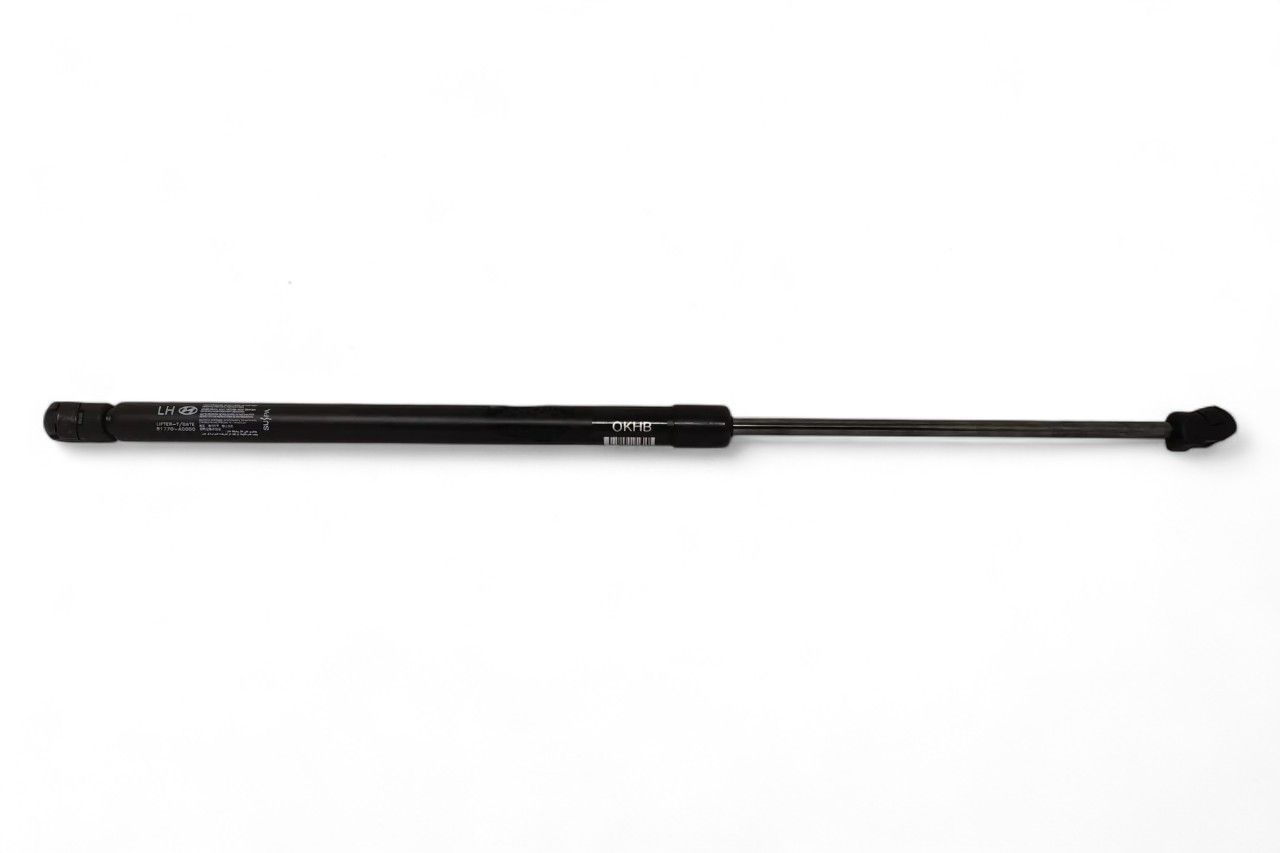 Monroe Tailgate Gas Spring - LH/RH M2N3SG061