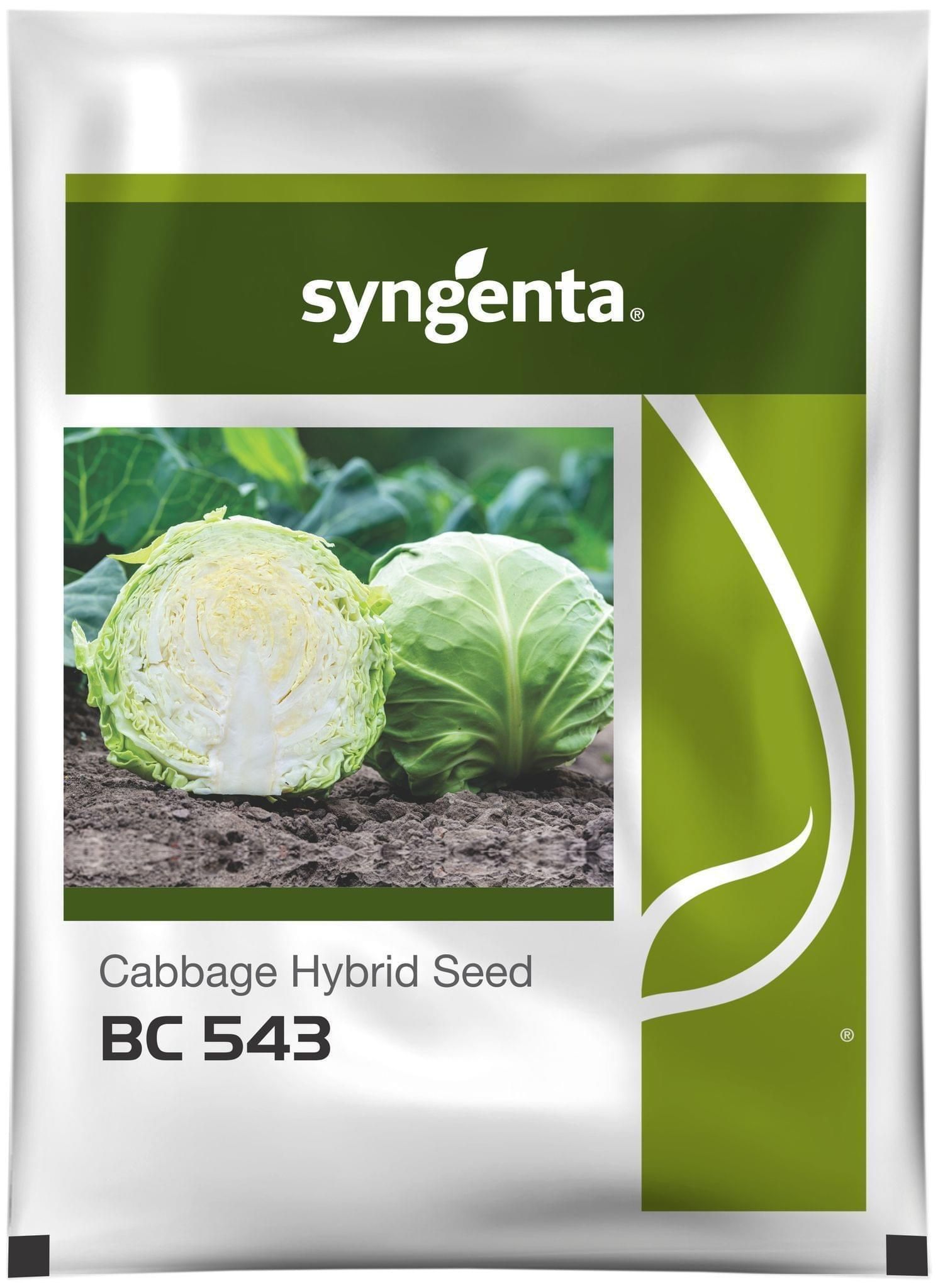 BC 543